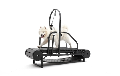 Best Treadmill for Dogs | Top Dog Treadmills for Exercise - Fitdogo